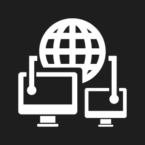 website vulnerabilities
